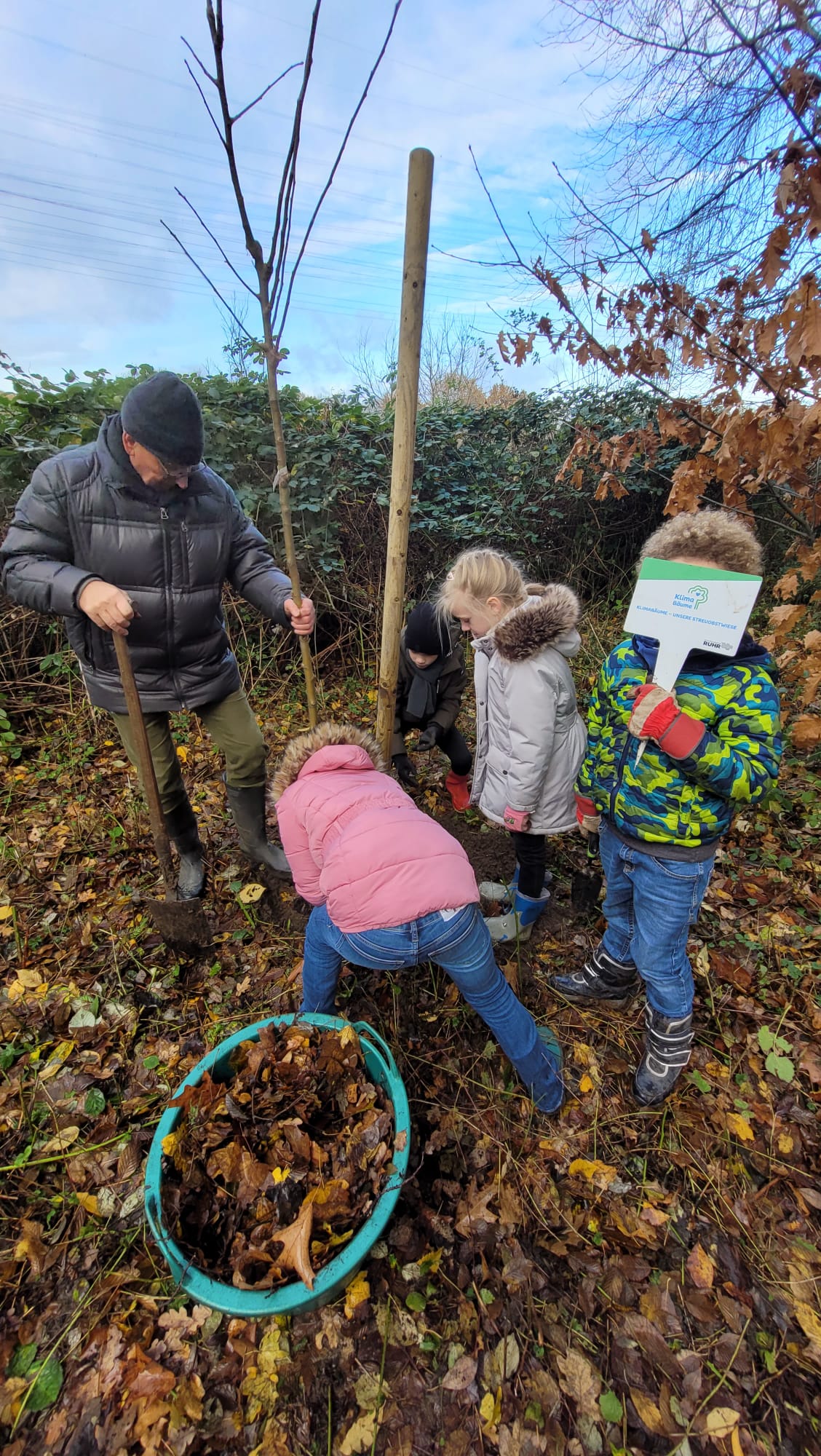Kinder pflanzen einen Baum im Naturgebiet.